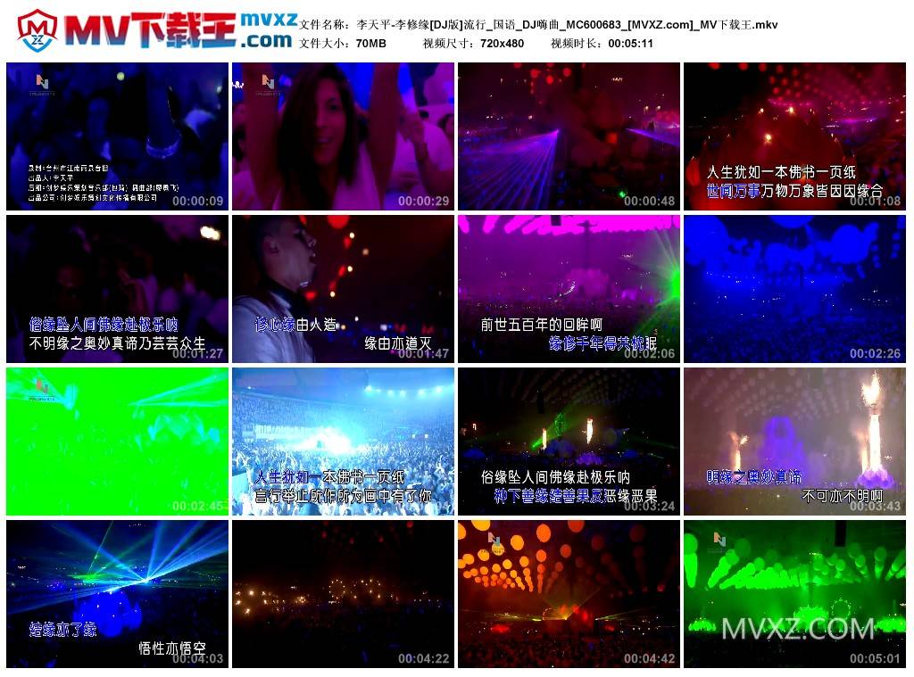 李天平-李修缘[DJ版]流行_国语_DJ嗨曲_MC600683